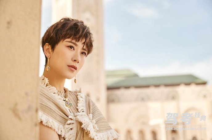 海清：驾照考了多次